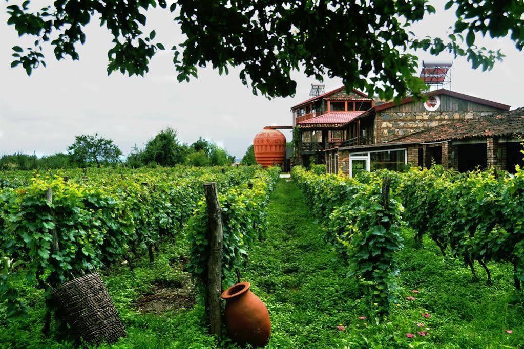 Twins Wine House Hotel Napareuli Exterior photo