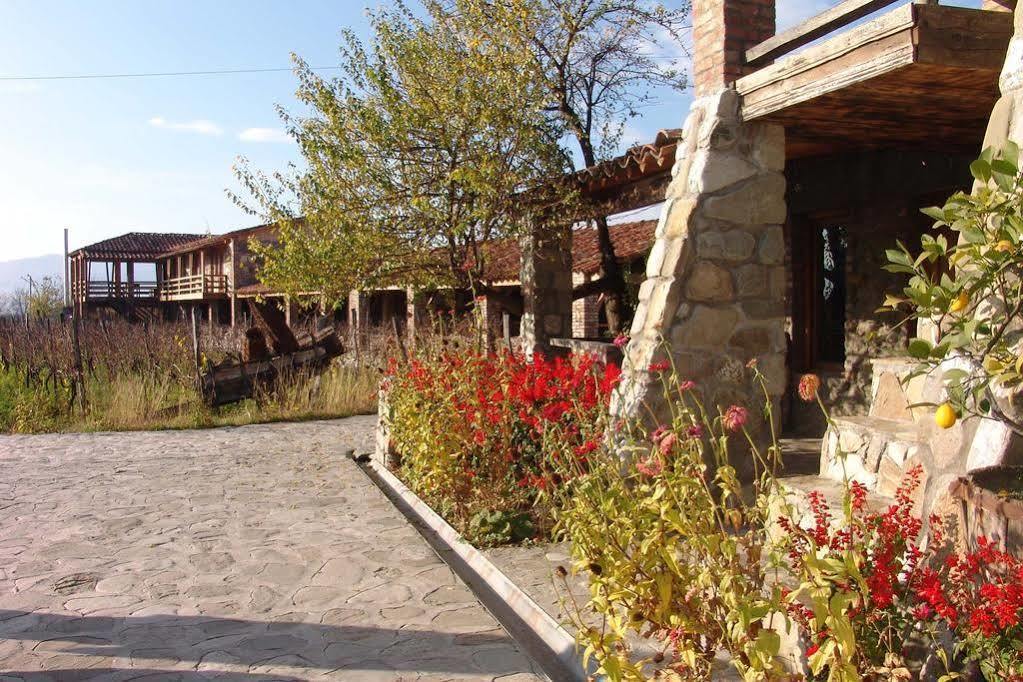 Twins Wine House Hotel Napareuli Exterior photo