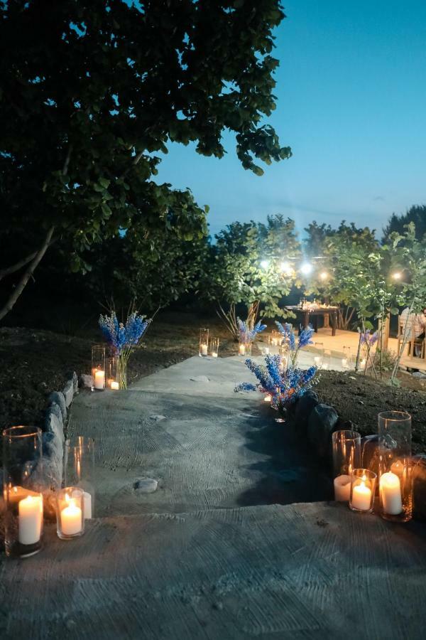 Twins Wine House Hotel Napareuli Exterior photo